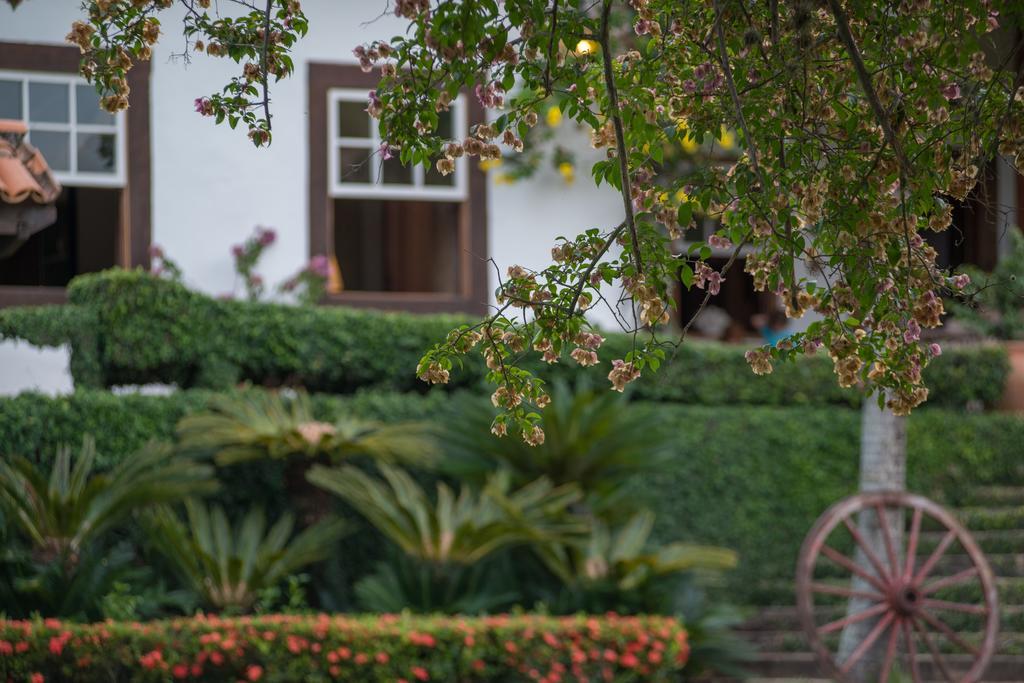 Fazenda Capoava Farm stay *